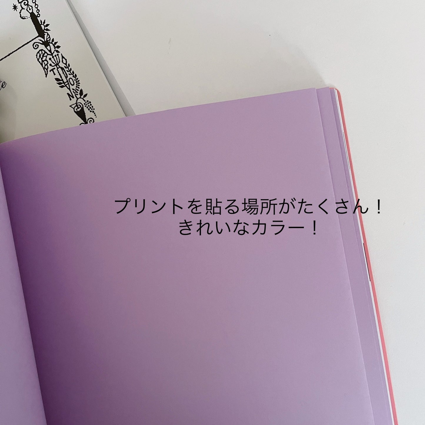 【2024小学校版】スクールプランニングノート限定色のコーディネートセット
