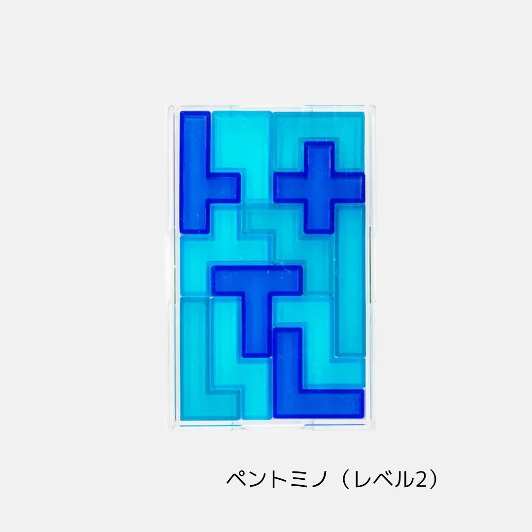 【再々入荷】永久に遊べるパズル、脳ブロック(テトロミノ&ペントミノ)