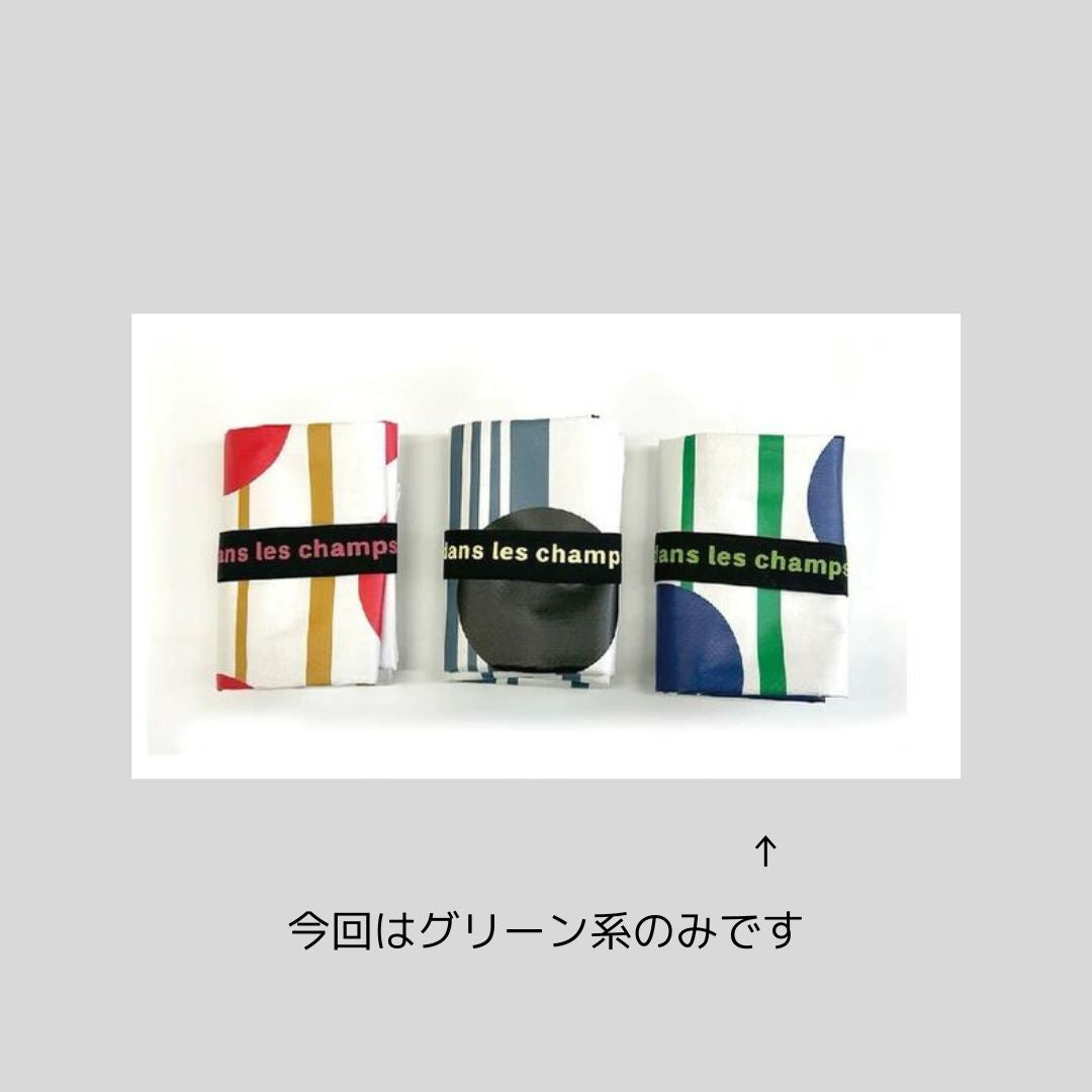 遠足用に♪ポップなレジャーシート(グリーン系)