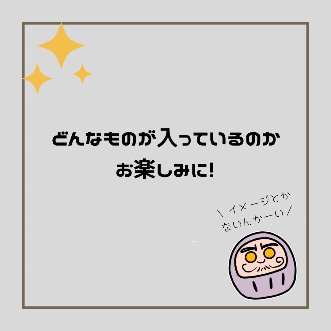 【本日のみ】服買いに行く時間(と体力)ないわーの方への"服"袋